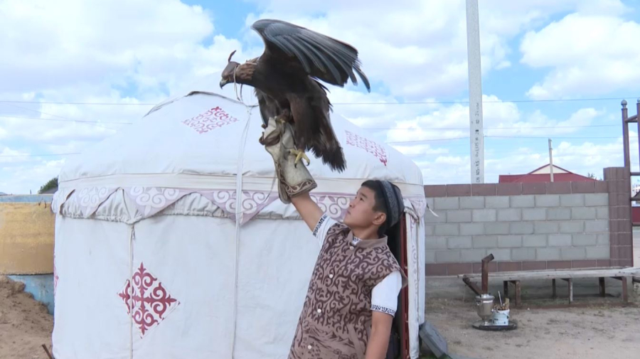 Камчи своими руками плетет школьник из Жанааркинского района