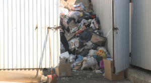 Заполонившие мусорку крысы беспокоят жителей крупного района Караганды