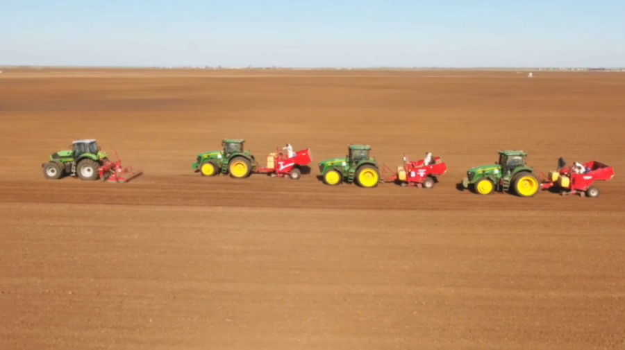 Почти два миллиона гектаров земли засеют в Павлодарской области