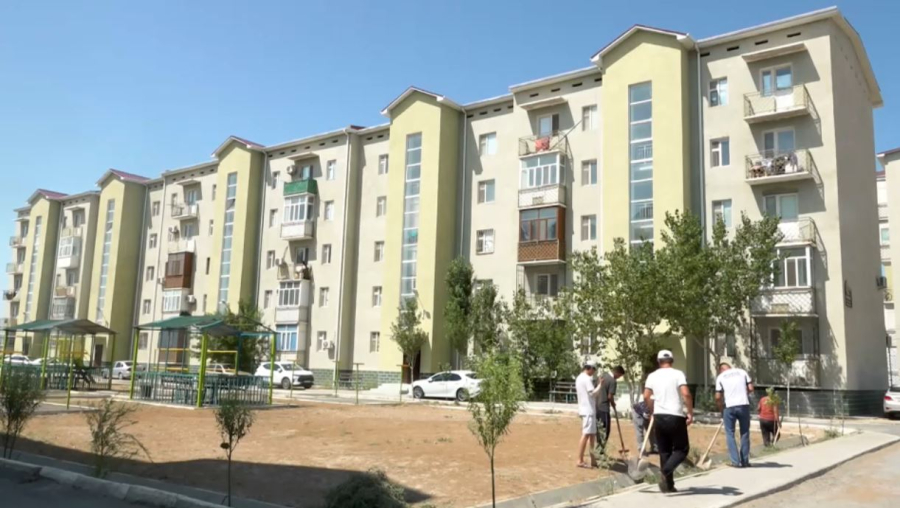 Биыл Қызылорда облысында 240 мыңнан астам ағаш егілді