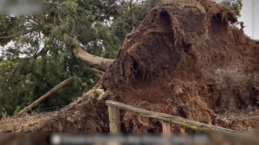 Португалияда торнадо ойран салды