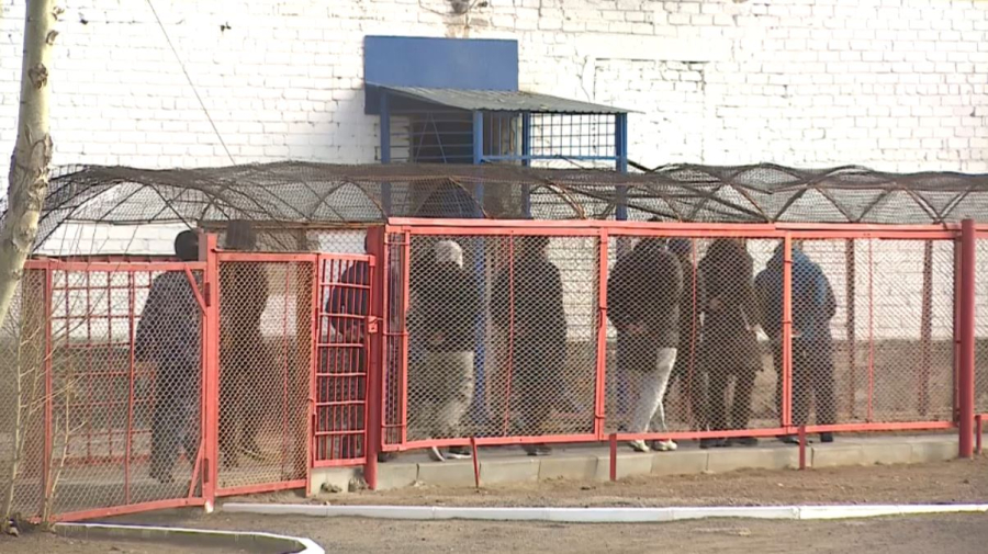  «Закон и порядок»: новые подходы к борьбе с наркопреступностью