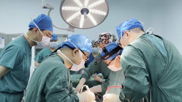 Қытай дәрігерлері адамға доңыз бауырын салды