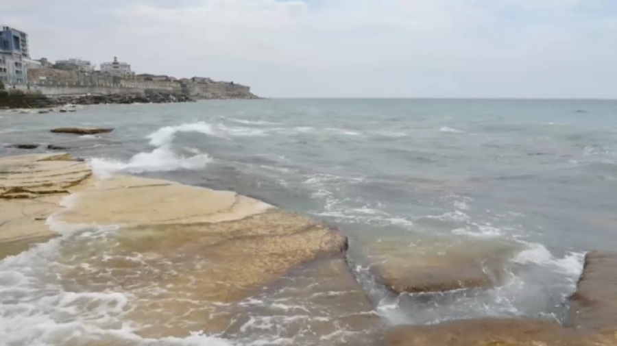 Правительство выделило ₸ 1,1 млрд на изучение и сохранение Каспия