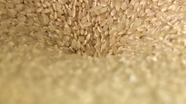Цены на рис резко упали после отмены Индией экспортных ограничений