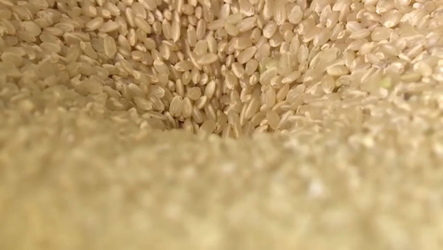 Цены на рис резко упали после отмены Индией экспортных ограничений