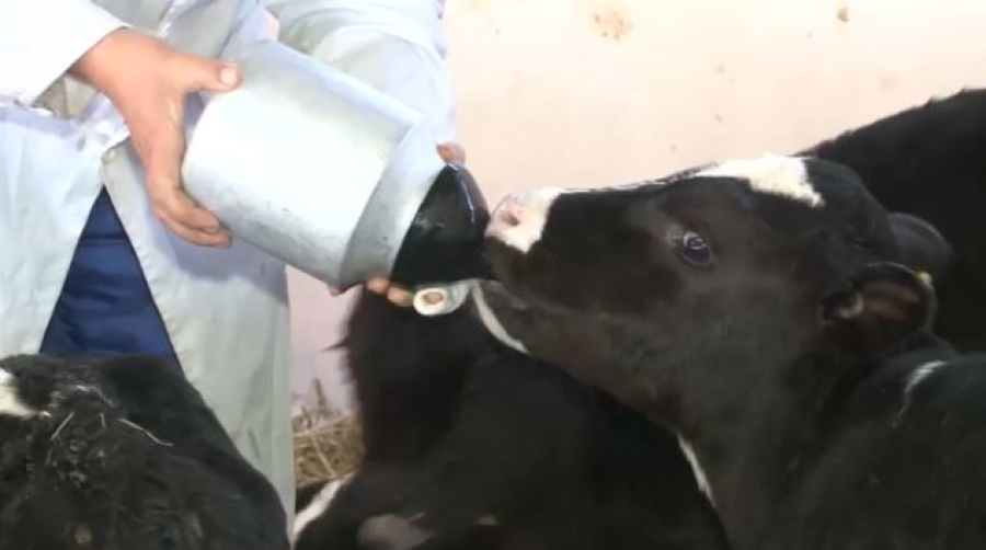 Динамику экономического роста нарастят в Казахстане