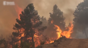 Лесные пожары тушат на юго-востоке Испании