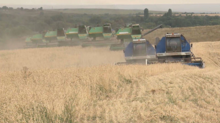 Казахстан увеличил экспорт зерна на 58,4%