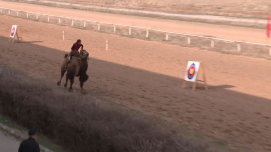 Два мировых рекорда установили во время Наурыза в Алматы