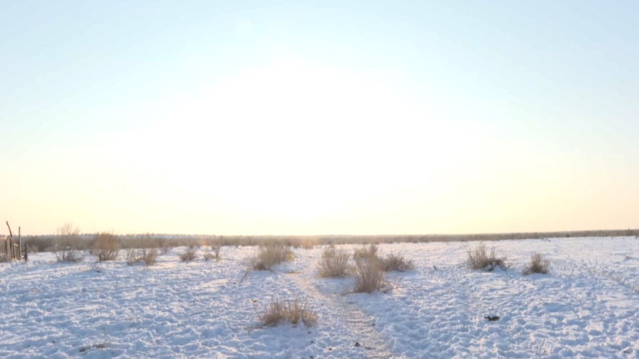 Түркістан облысында үш мың гектар жер мемлекетке қайтарылды