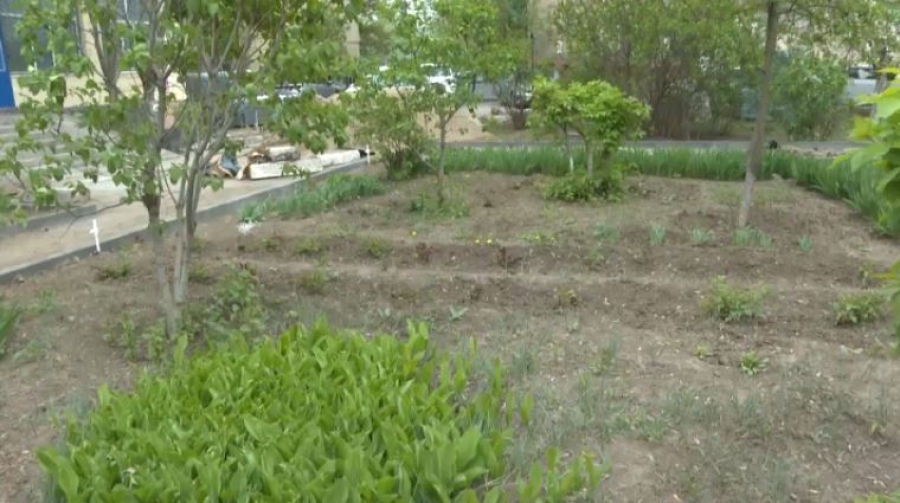 26 общественных пространств благоустроят в Актобе