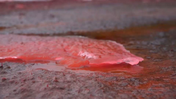 Каспий теңізі қызыл түске боялды