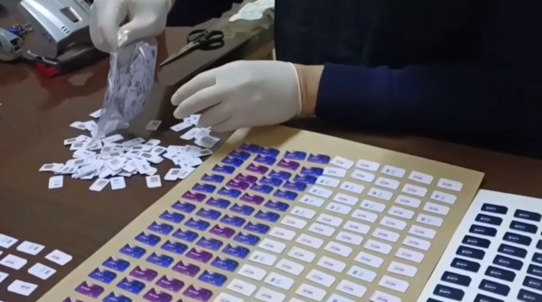 Алматыда шетелдік алаяқтар ұсталды