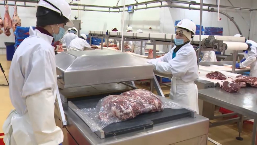 Сырт мемлекеттерге 80 мың тоннадан астам ет жөнелтілді