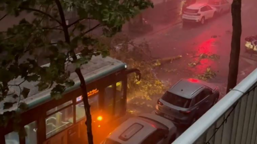 Шторм во Франции: обесточены 100 тысяч домов