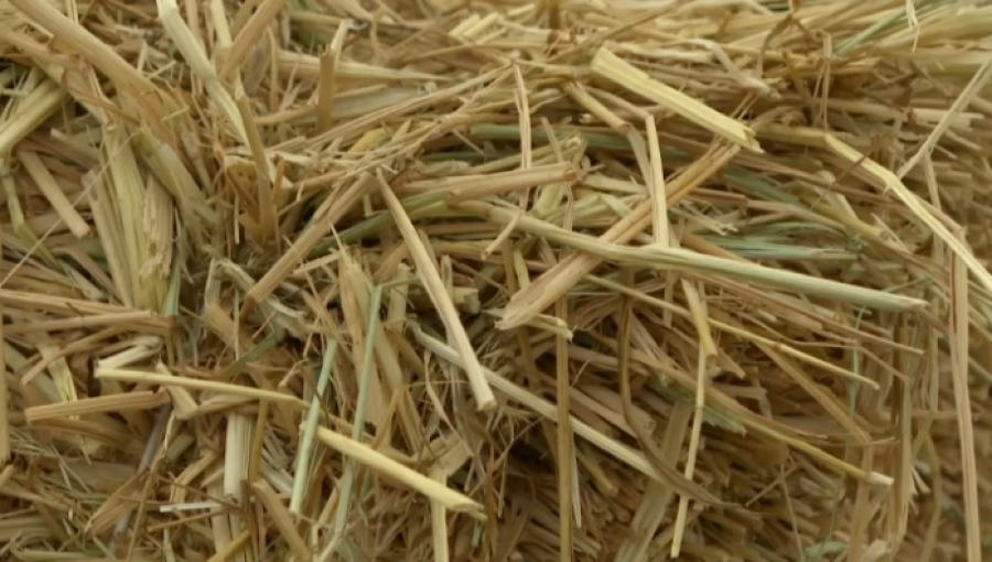 Рисовая солома и шелуха получили новое применение