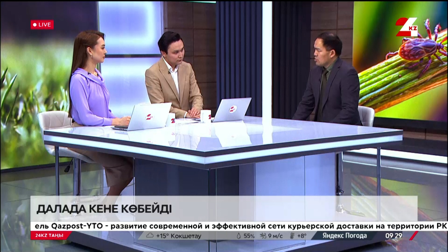 Далада кене көбейді. Жасұлан Алпысбаев