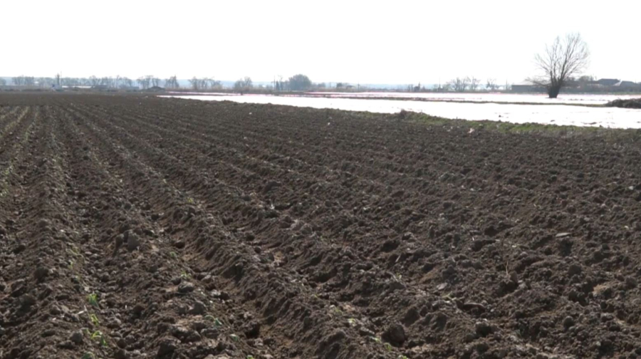 Оңтүстікте көктемгі дала жұмыстары қарқынды жүріп жатыр