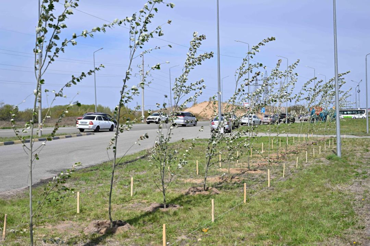 Берік Уәли: Семейді жасыл желекті қалаға айналдыруымыз керек