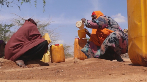 Сомалиде былтыр қуаңшылықтан 43 мың адам көз жұмды