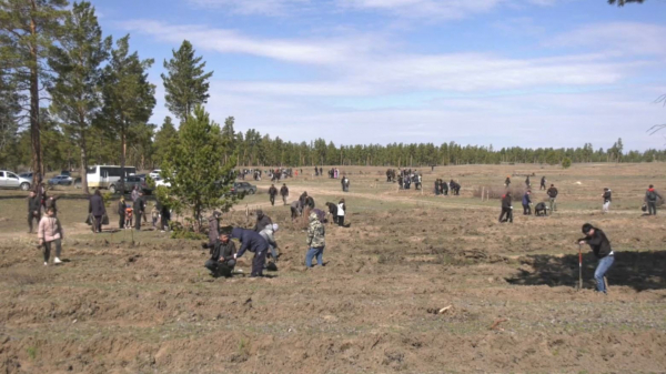 Семейде «Таза Қазақстан» акциясына 15 мың адам қатысты