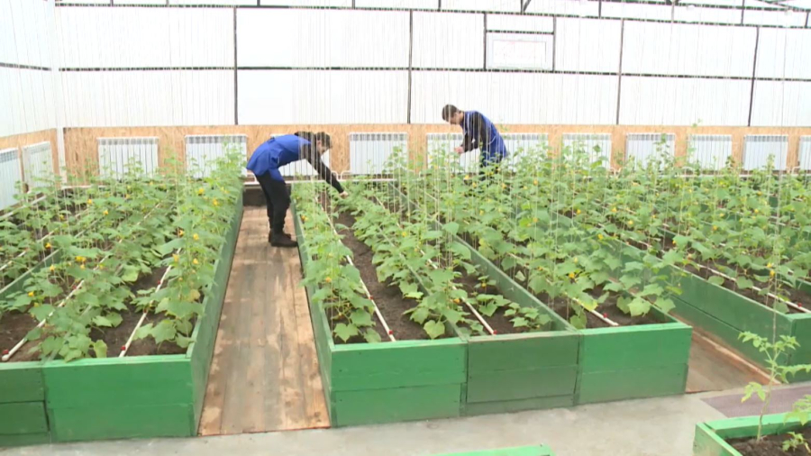 Агроөнеркәсіптік кешенге ₸213 млрд инвестиция тартылды