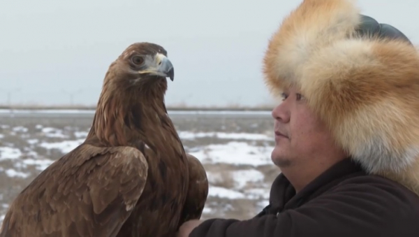 Туркестанские беркутчи развивают древние традиции