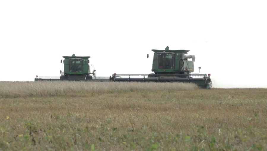 Қазақстанда алдағы үш жылда 200 жоба қаржыландырылады