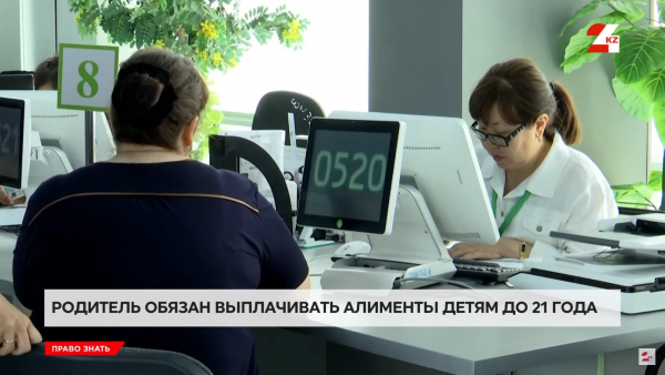 Может ли студент рассчитывать на алименты?