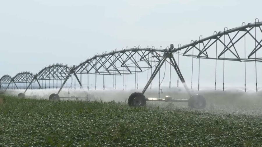Растениеводы Жетысу экономят поливную воду