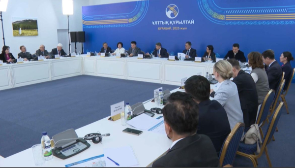 Ұлттық құрылтай қарсаңында секциялық отырыстар өтті