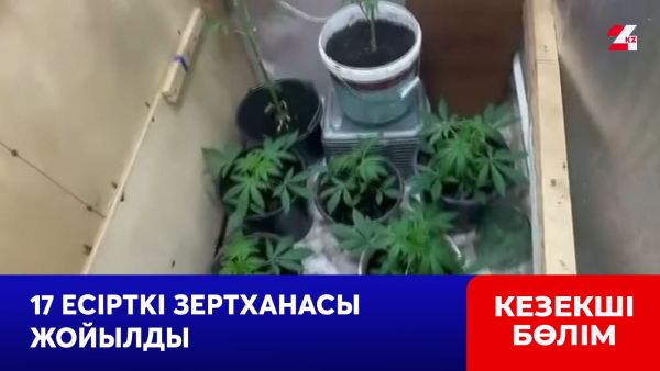 ІІМ: Ақпан айында 17 есірткі зертханасы жойылды