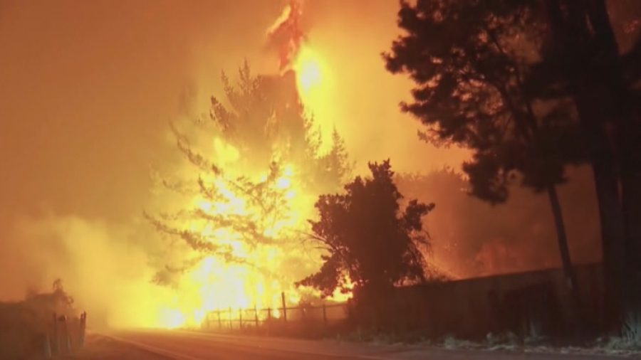 Из-за пожаров в Чили эвакуировали свыше 2 тысяч человек