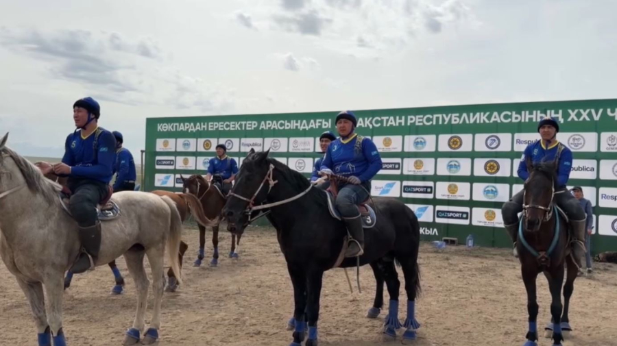 Жылқы қауіпсіздігі: көкпардағы жаңа талаптар қандай?