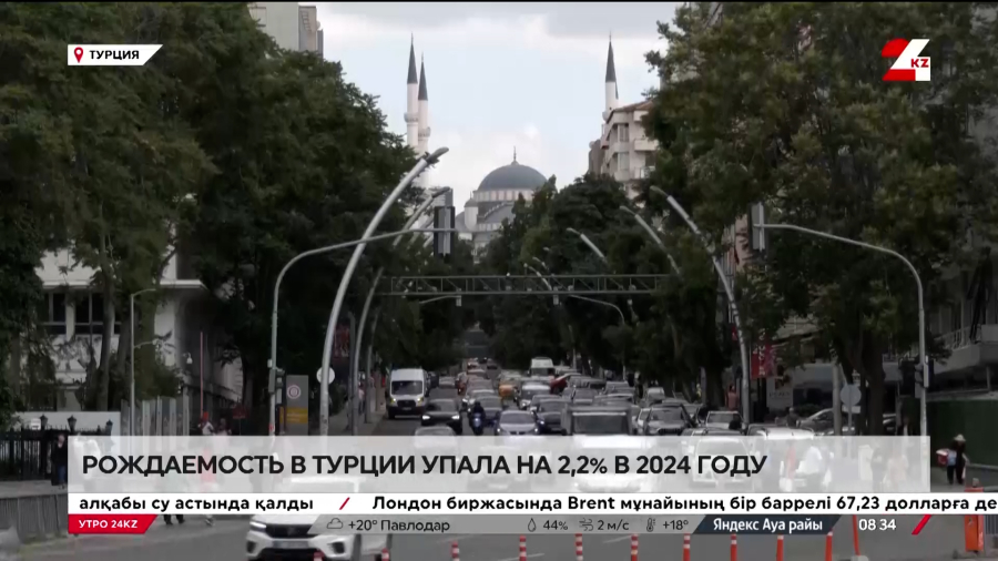 Рождаемость в Турции упала на 2,2% в 2024 году