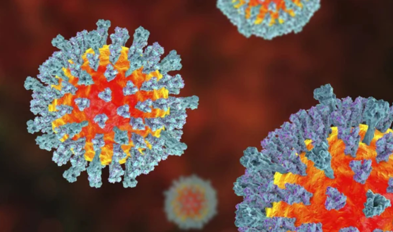 Более 10 тысяч подтвержденных случаев кори зафиксировали в Монголии