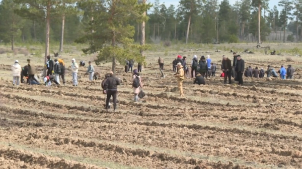 К акции «Таза Қазақстан» присоединилась область Абай