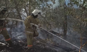 Пожар в резервате «Семей орманы» оперативно локализован