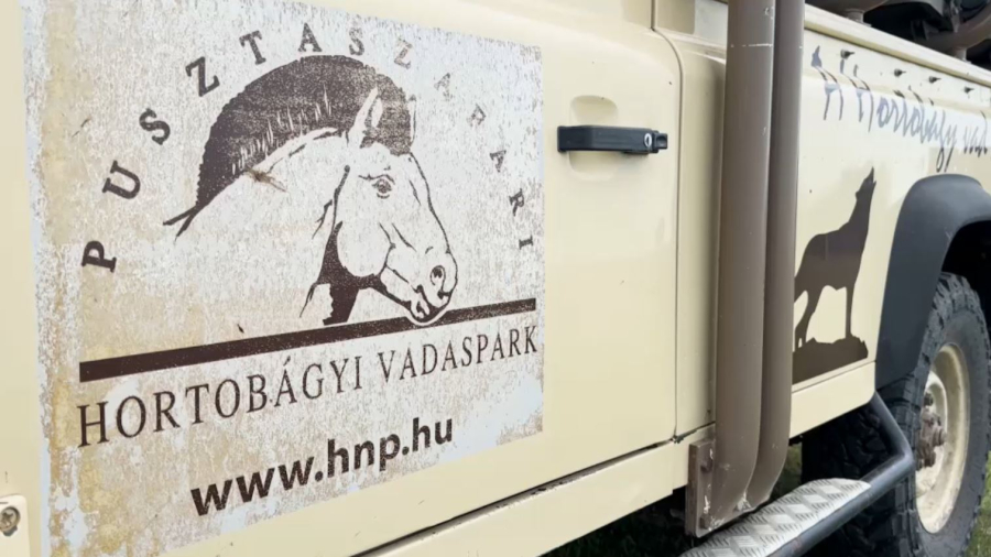 Елімізге керқұландардың жаңа бір тобы әкелінді