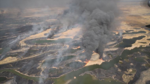 Ситуация с природными пожарами остаётся напряженной в Алматинской области