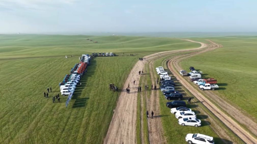 Более 400 тысяч гектаров обработают от саранчи в Туркестанской области