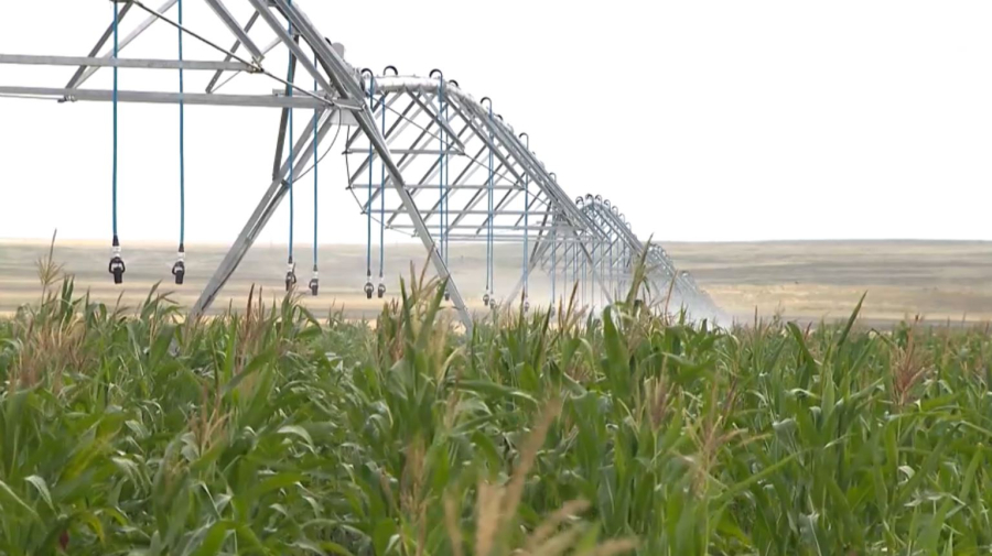 Түркістандық шаруалар суды заңсыз пайдаланған