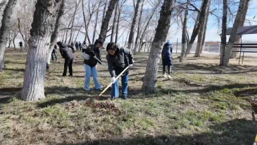 Масштабный экологический субботник устроили в Костанае