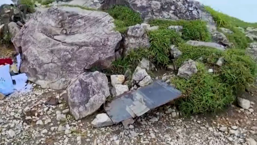 Индонезияда шағын ұшақ апатынан қаза тапқандардың барлығының мәйіті табылды