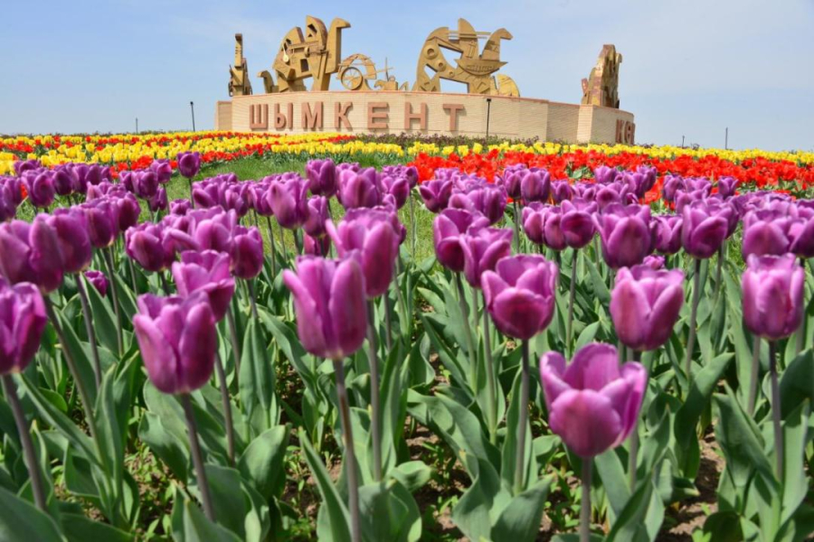 Туристический поток в Шымкент увеличился на 13,1%