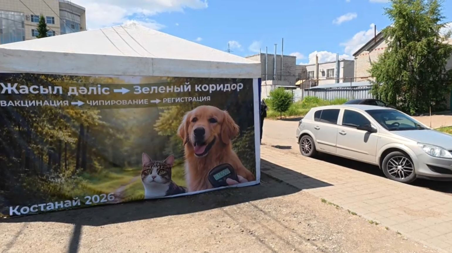 Қостанай облысында ит-мысыққа тегін екпе салынады