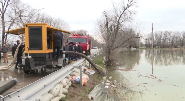 Алматы облысындағы көл жағалауын нығайтуға еріктілер жұмылдырылды