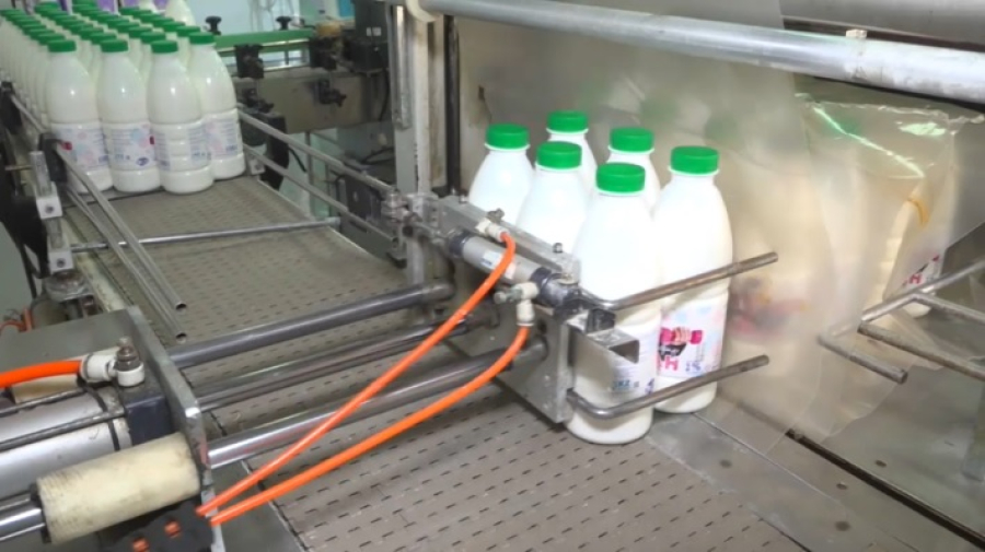 Молочные комбинаты бьют рекорды по производству