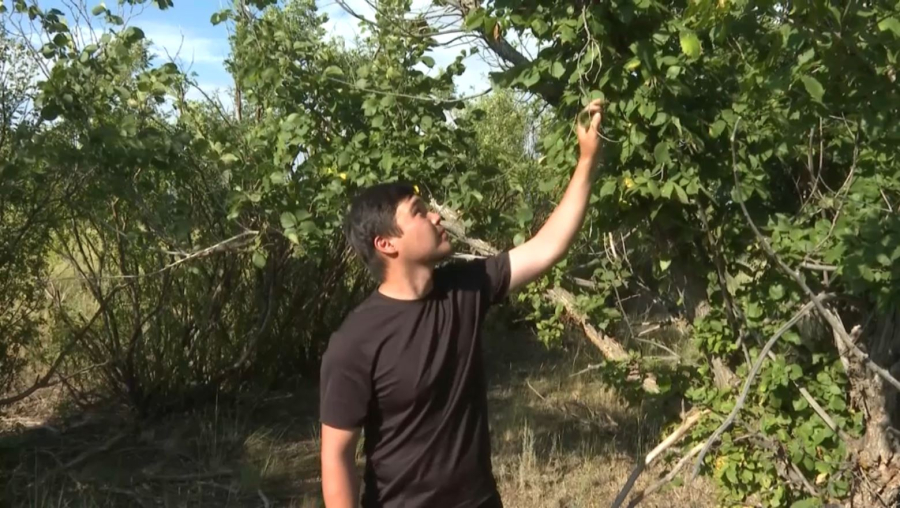 Ақтөбе облысында саналы ғұмырын табиғатты қорғауға арнаған әулет тұрады